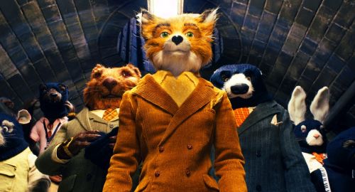 poptional-fox1.jpg